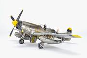 P-51D Mustang (Profipack)